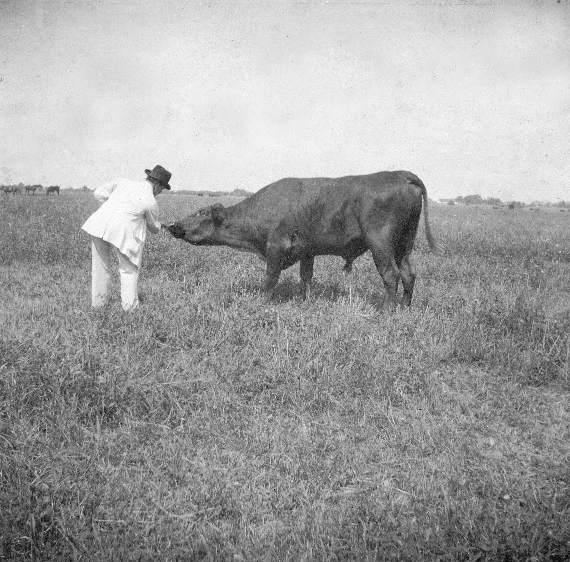 Carl Nielsen og en tyr. Tid og sted?