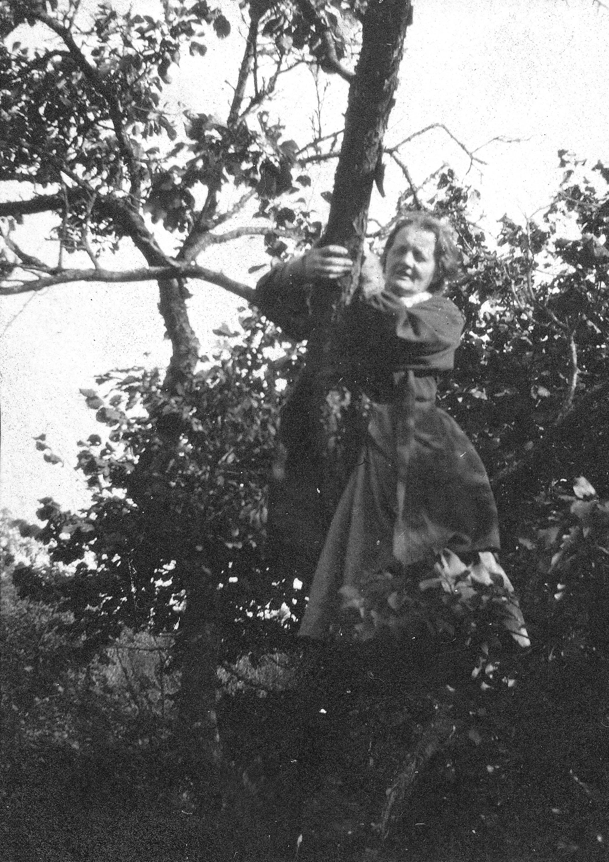 Margrete Rosenberg under arbejde i Damgaards nøddeplantager.